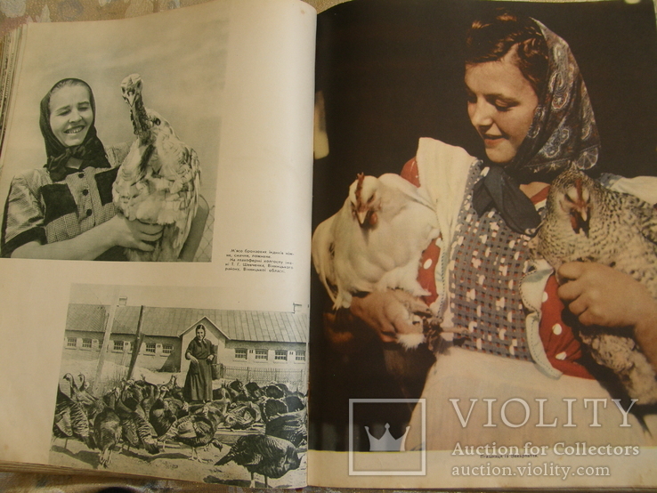 Україна у фотографіях  1955 р  понад 400 фото, фото №6