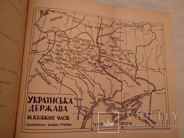 1918 УНР история Украины с картой, фото №2