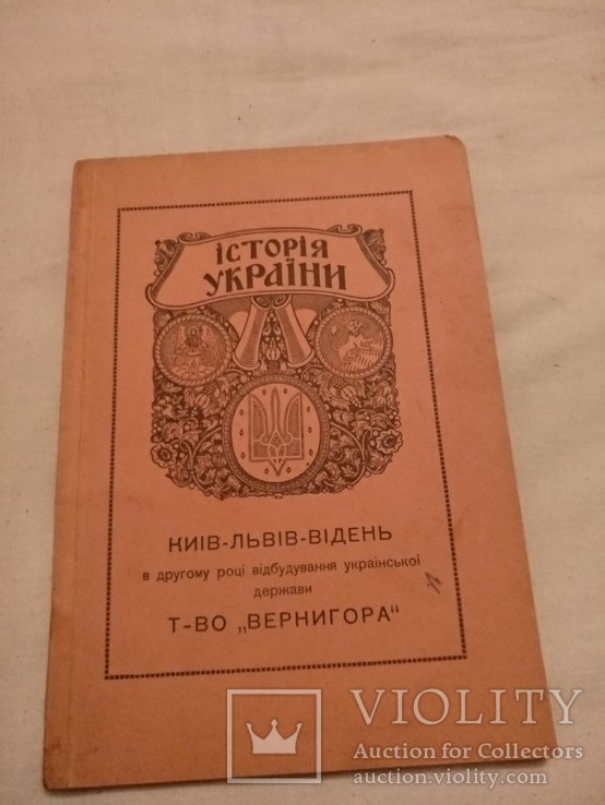 1918 УНР история Украины с картой, фото №3