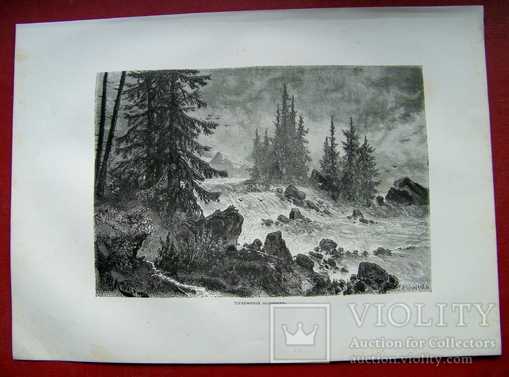 Гравюра. Тулумский водопад. Конец 19 века, фото №3