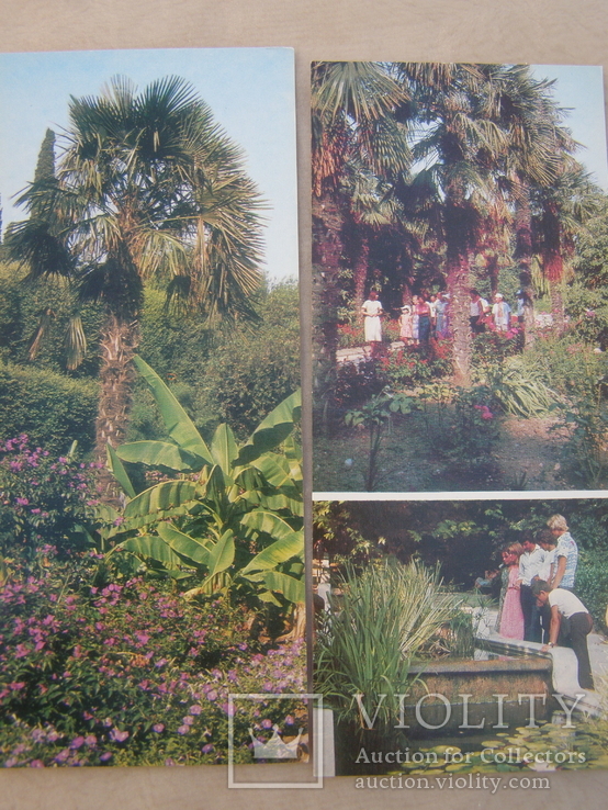 Набор открыток. Крым.Никитский ботанический сад., фото №8