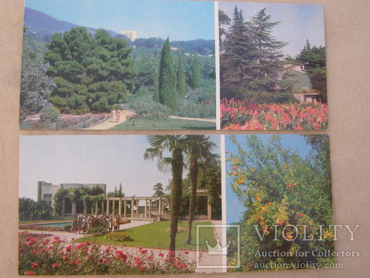 Набор открыток. Крым.Никитский ботанический сад., фото №10