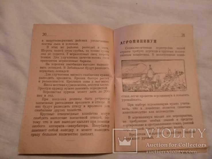 1931 Путь в колхозы журнал для малограмотных, фото №6