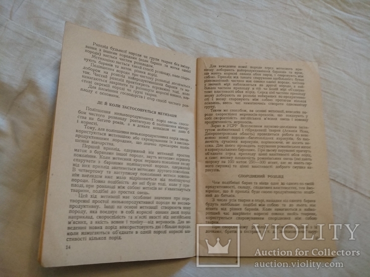 1936 Київ Вівчарство Ю.Н. Дреус, фото №7