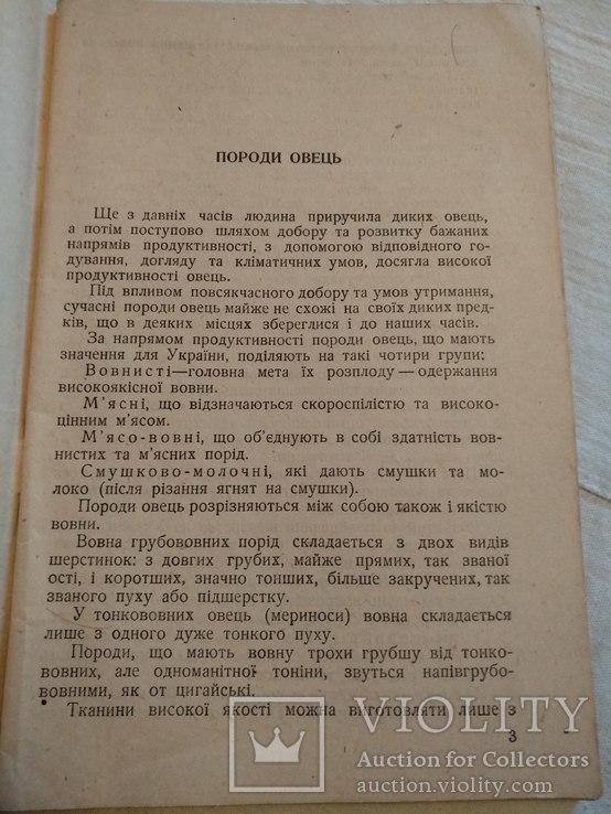 1936 Київ Вівчарство Ю.Н. Дреус, фото №9