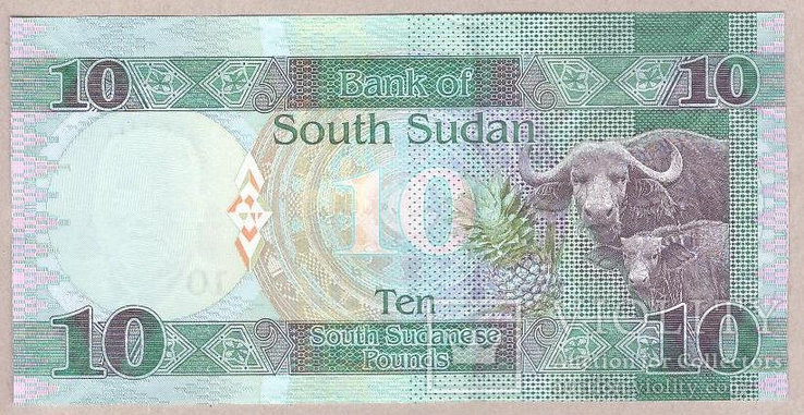 Банкнота Южного Судана 10 фунтов 2016 г. UNC, фото №3