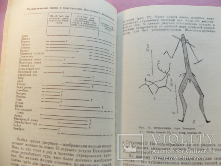 Изд.1981 г.  "Записки палотолога".  166 стр., фото №5