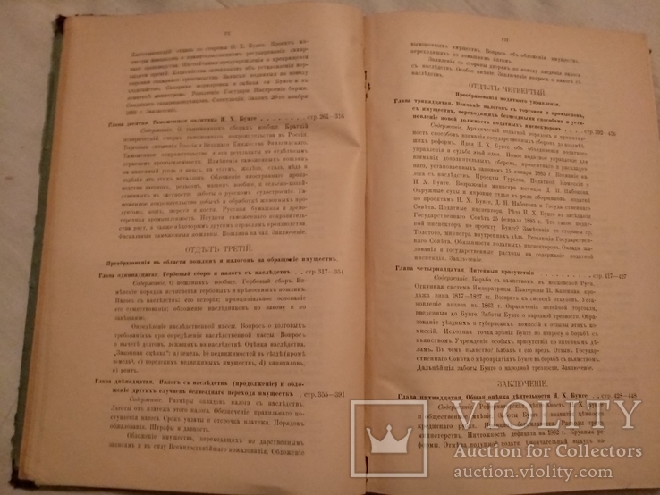 1901 Финансовая система России Н. Бунге реформы поведения, фото №10