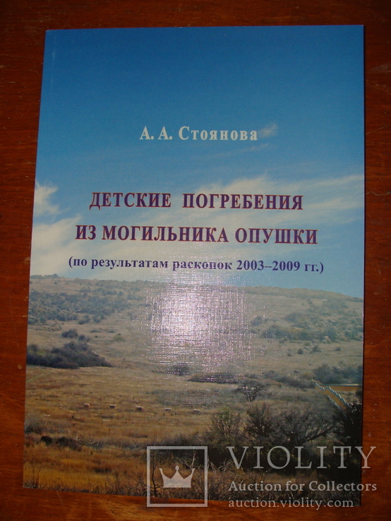 Детские Погребения из Могильника Опушки (95), фото №2