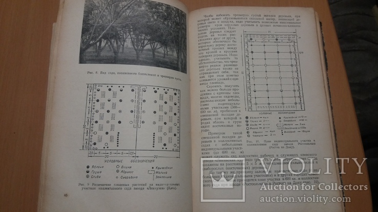 Госсельхозиздат УССР 57 год Советы садоводам и виноградарям, фото №10