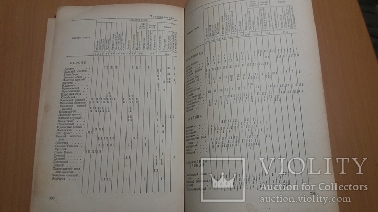 Госсельхозиздат УССР 57 год Советы садоводам и виноградарям, фото №13