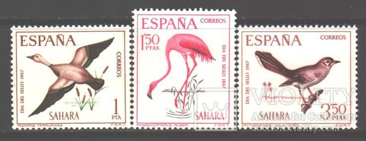 Испанская Сахара. 1967. Птицы **.