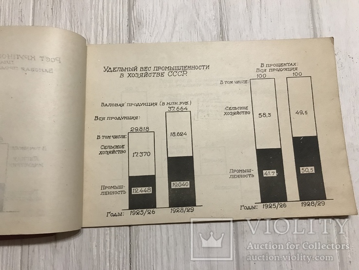 1929 Вопросы хозяйственно строительства в Диаграммах, фото №2