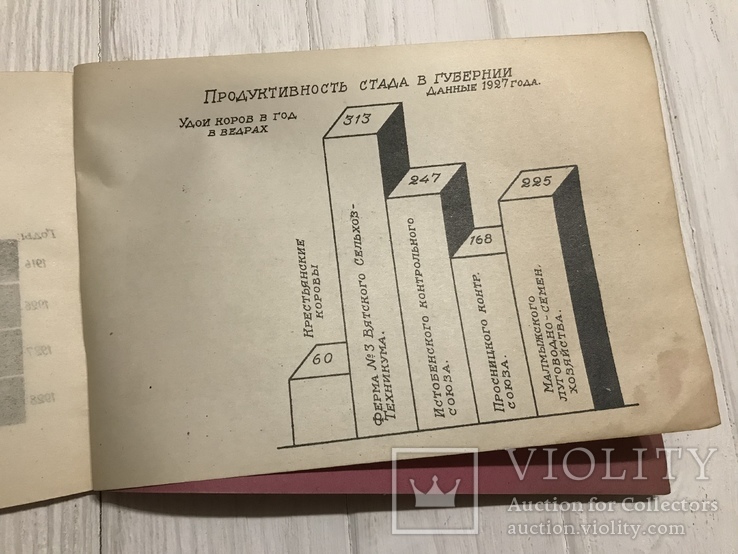 1929 Вопросы хозяйственно строительства в Диаграммах, фото №10