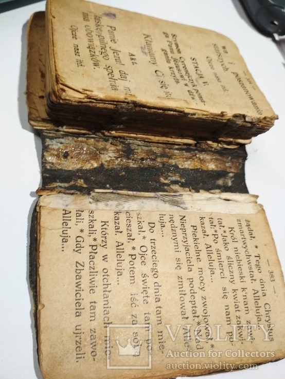 Старинная библия, фото №2