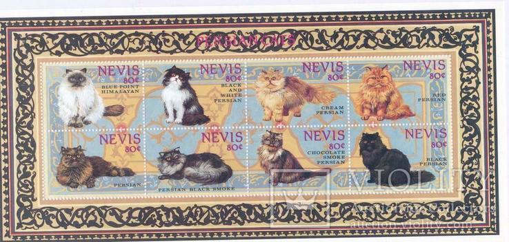 Невис кошки, коты  MNH