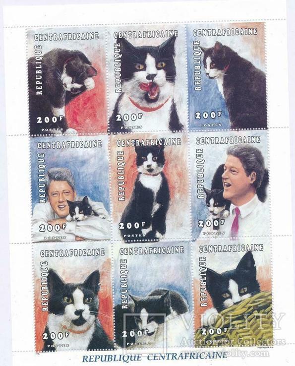 ЦАР кошки, коты MNH