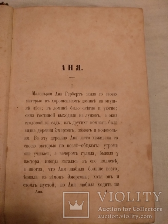 1870 Семейная тайная книга с золотом В. Даль, фото №11