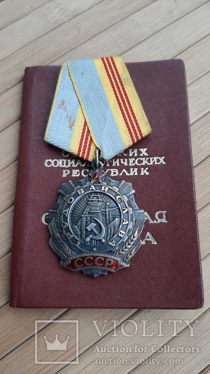 Орден Трудовая Слава на доке № 348583