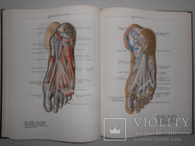 Синельников. Атлас анатомии человека. 1996 г. Том 3 и 4, фото №3