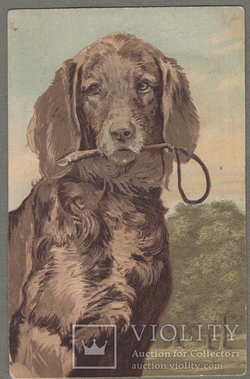Собака Рельефная открытка 1910е, фото №2
