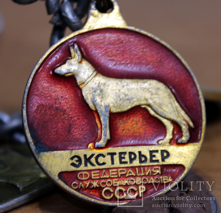 Цепь-цепочка-ошейник с жетонами-знаками -значками  для собак, фото №5