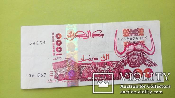 Алжир 1000 динаров., фото №2