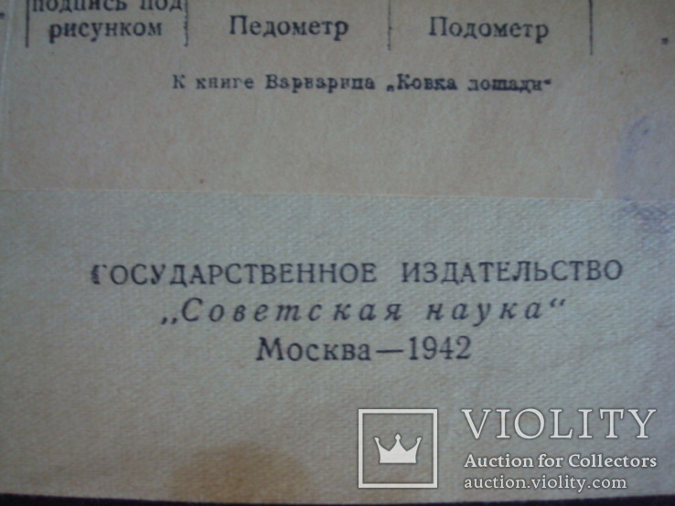 П.С.Варварин, Ковка лошади, 1942г., фото №4