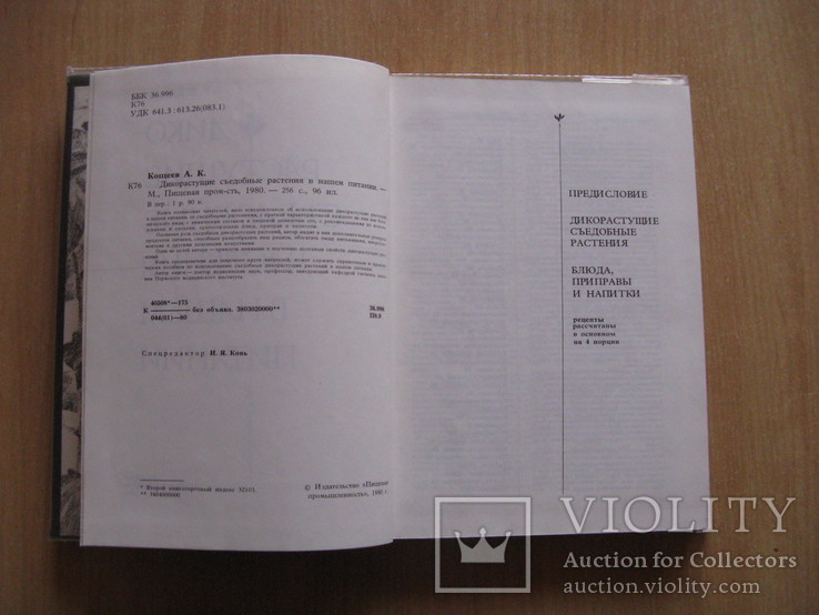 Кощеев А. Дикорастущие сьедобные растения в нашем питании. 1980гг.  обычный переплет,, фото №3