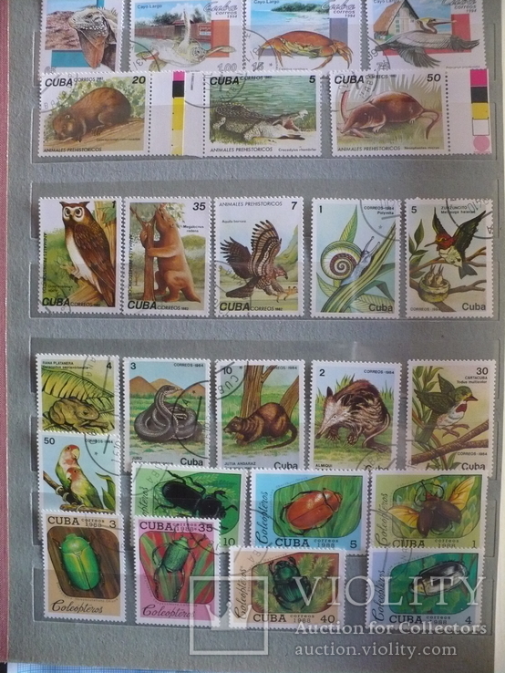 Более 400 марок фауна-флора Кубы в альбоме, фото №6