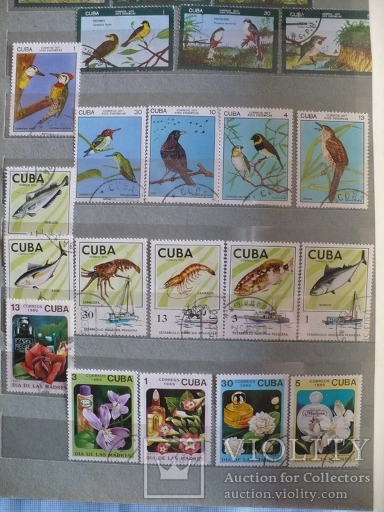 Более 400 марок фауна-флора Кубы в альбоме, фото №8
