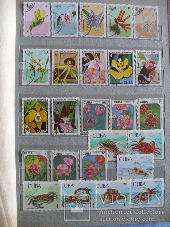 Более 400 марок фауна-флора Кубы в альбоме, фото №11
