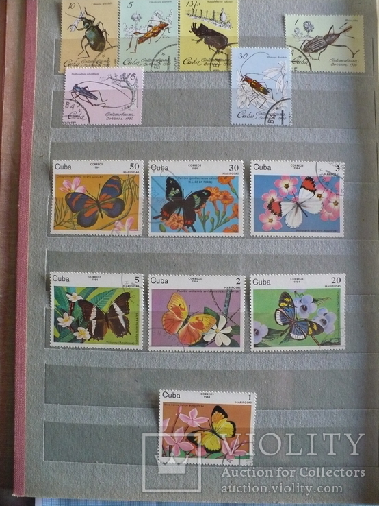 Более 400 марок фауна-флора Кубы в альбоме, фото №12