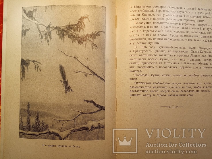 Жизнь Пушных Зверей.Воен.Издат.МВС.,СССР.1948 г.., фото №7