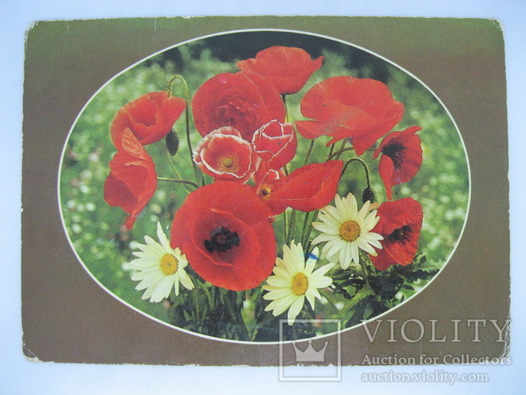 Цветы. Немецкая открытка. 3., фото №2