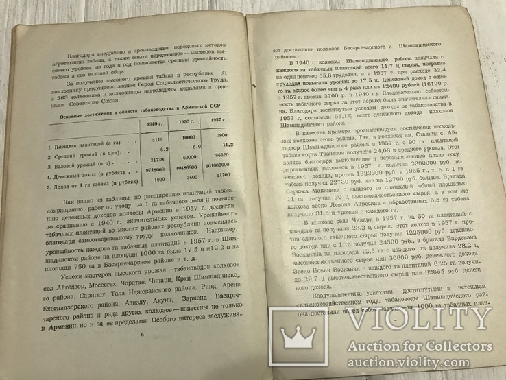 Развитие табаководства и его достижения, фото №5