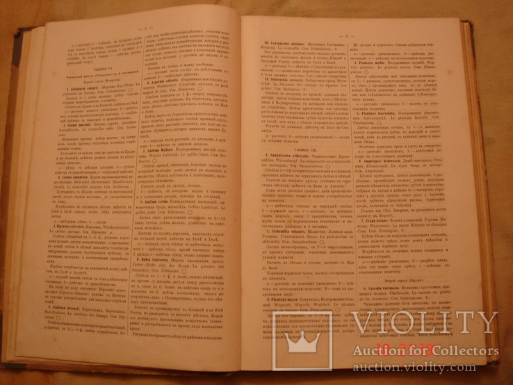 Ботанический Атлас Шуберта 1887 в пер. Н И Раевского, фото №6