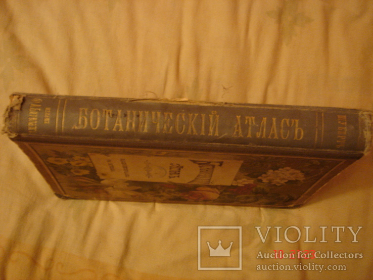 Ботанический Атлас Шуберта 1887 в пер. Н И Раевского, фото №11