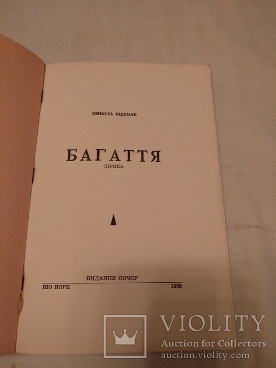 Багаття лірика Микола Щербак, фото №3