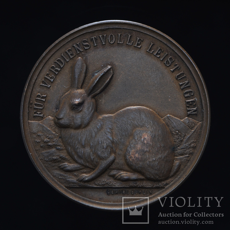 Медаль За Заслуги В Разведении Кроликов, Бранденбург, Германия