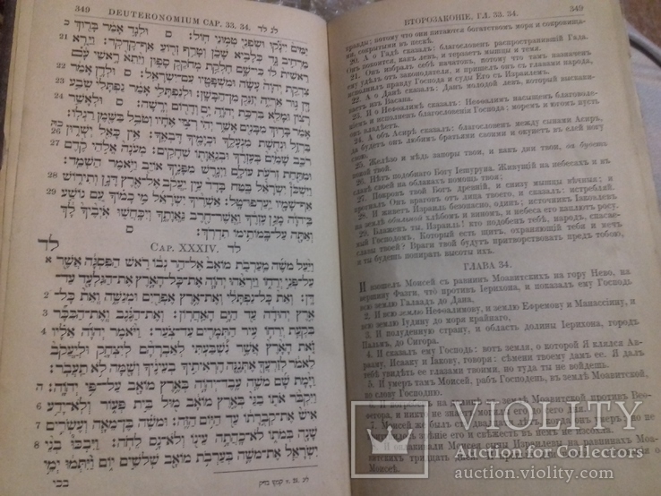 Пятикнижiе МОИСЕЕВО 1888 г., фото №3