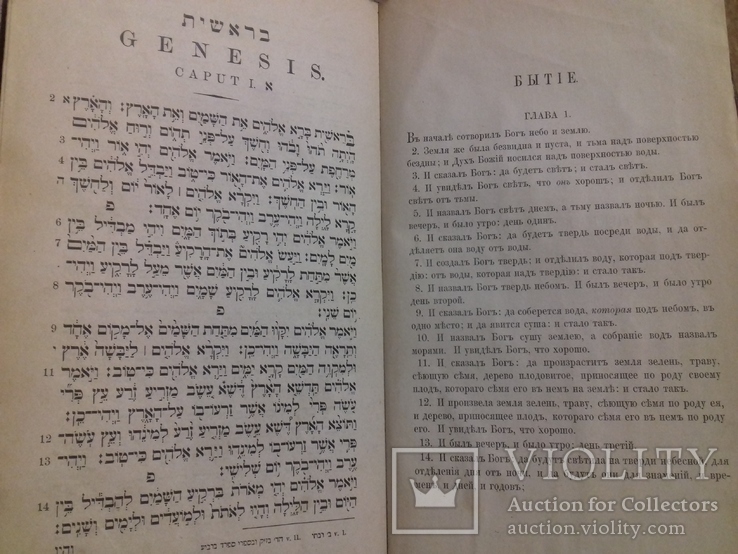 Пятикнижiе МОИСЕЕВО 1888 г., фото №4