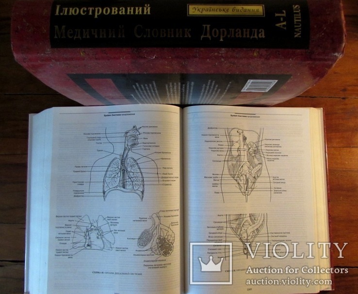 Медичний англо-український ілюстрований словник Дорланда в 2-х томах.Повний комплект!, фото №5