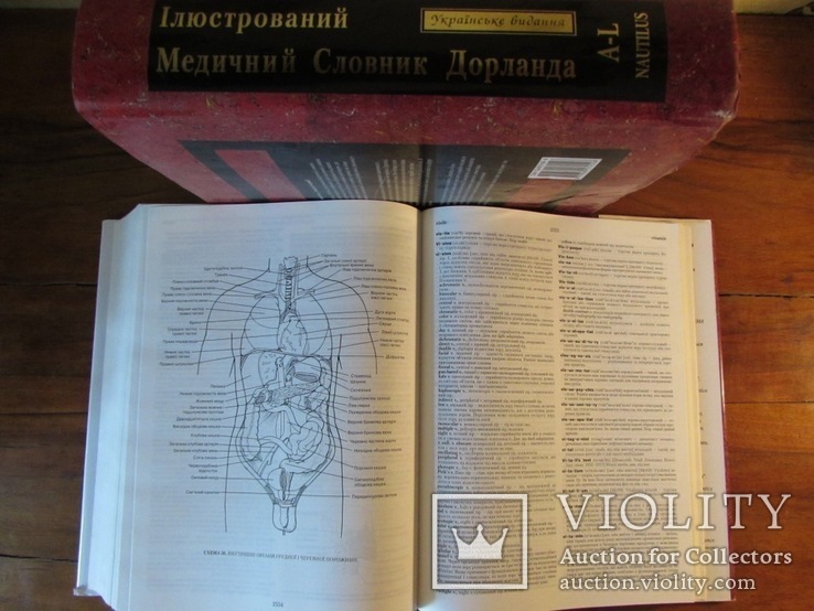 Медичний англо-український ілюстрований словник Дорланда в 2-х томах.Повний комплект!, фото №6