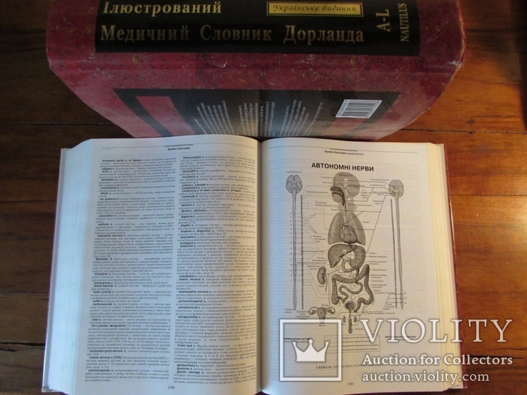 Медичний англо-український ілюстрований словник Дорланда в 2-х томах.Повний комплект!, фото №7