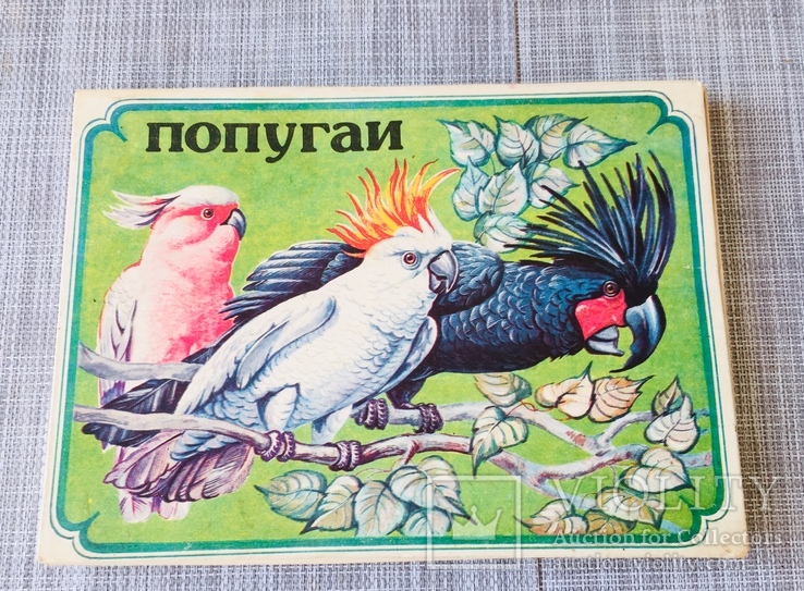 Набор спичек "Попугаи", Балабаново, винтаж., фото №2