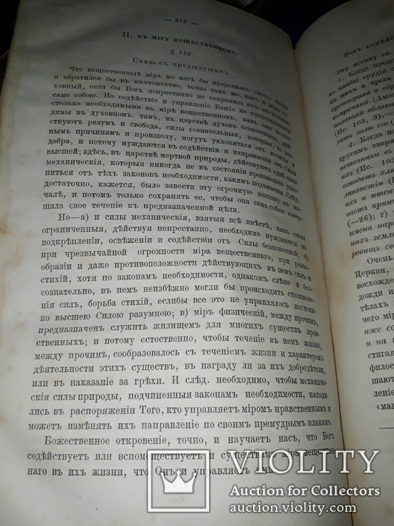 1883 Богословие Митрополита Макария, фото №8