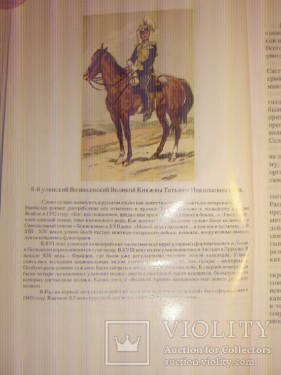 Лошадь и всадник., фото №5
