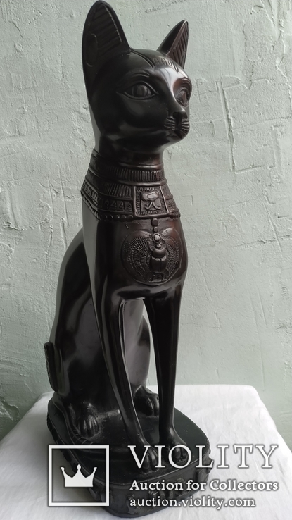 Кішка Єгипетська, фото №4