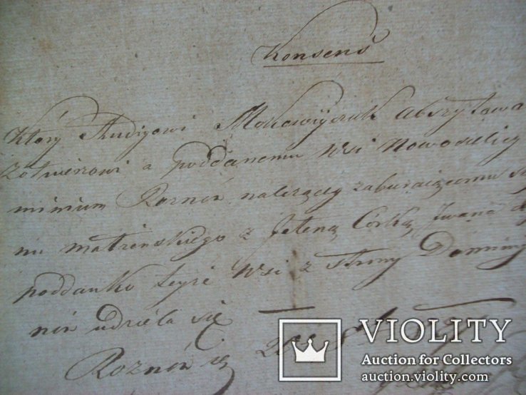1827 г. документ Украина - за любую цену, фото №3